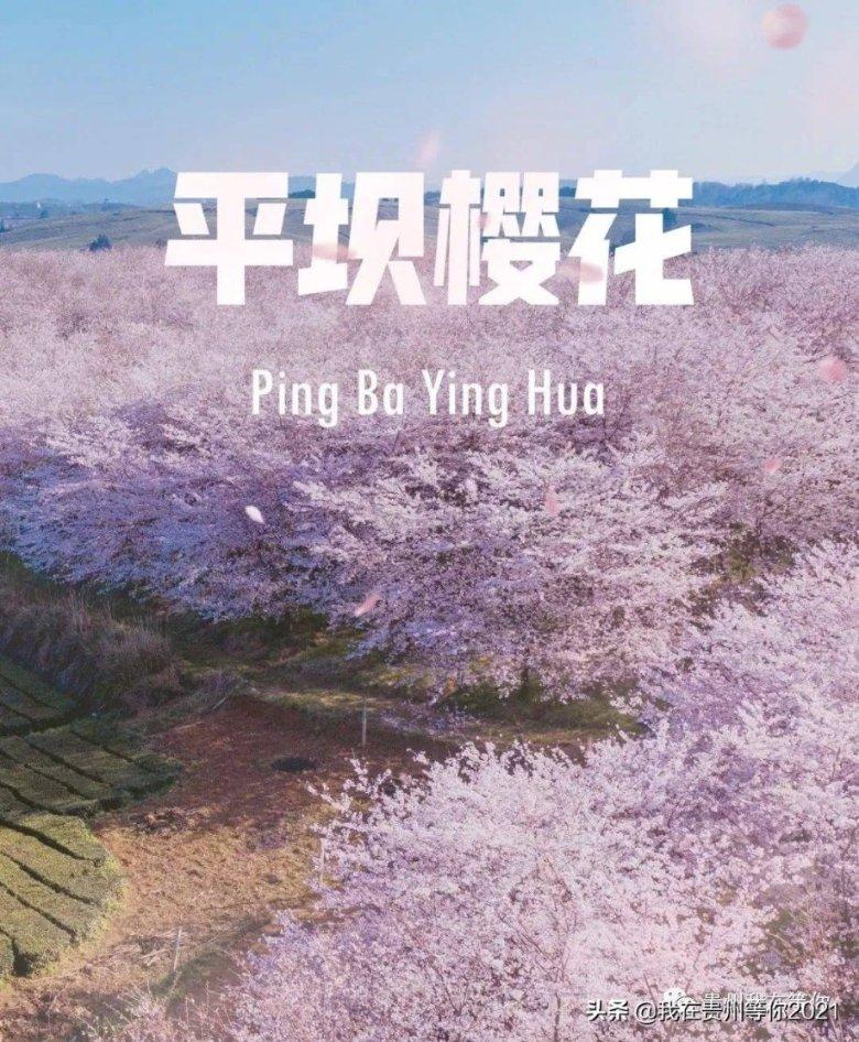 商场购物狂欢